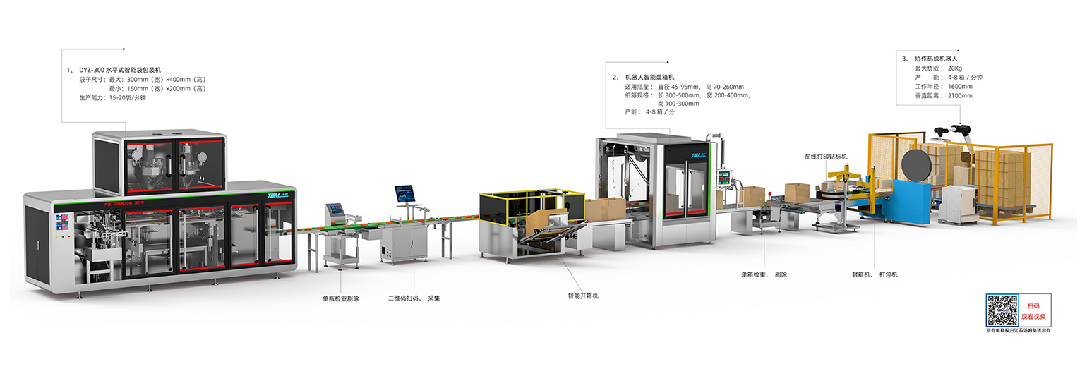 02、100-1000g 给袋式300袋包装线·副本(币游).jpg